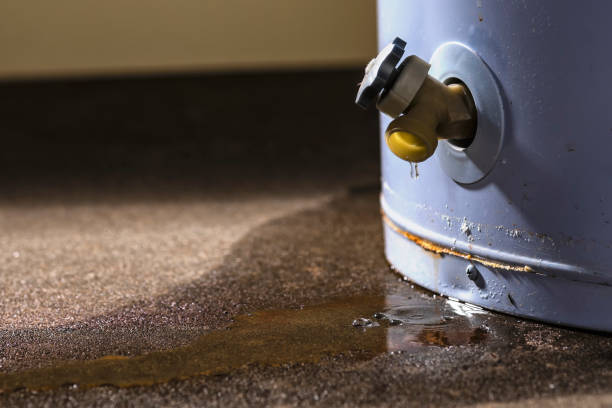 Best Flood damage cleanup  in Weaverville, CA