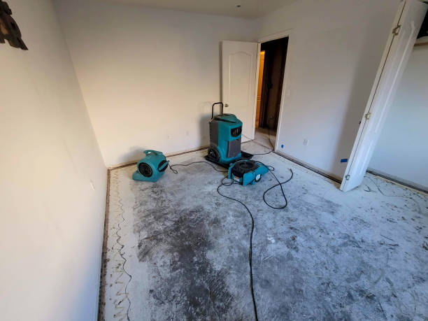 Best Water damage cleanup near me  in Weaverville, CA