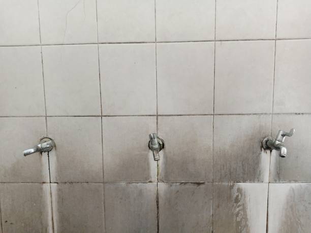 Best Water damage restoration process  in Weaverville, CA