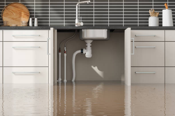 Best Local water damage restoration  in Weaverville, CA